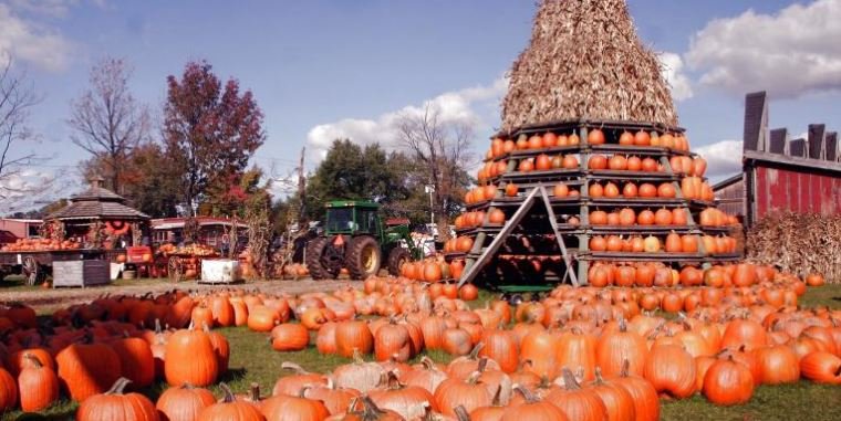 Fonni Harvest Festival and Local Tourism.