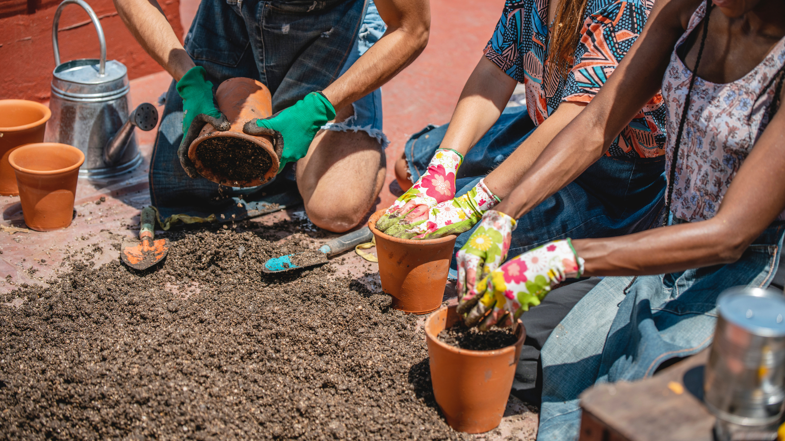 Community Development in Fonni, Italy