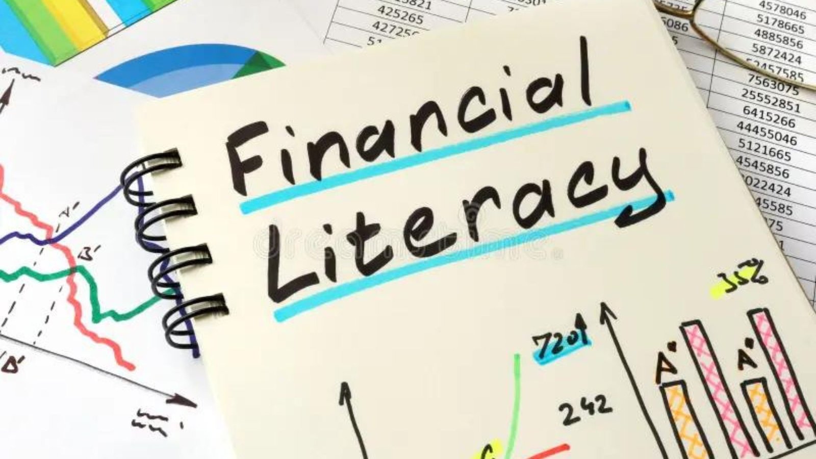 Tips for Financial Literacy in Fonni