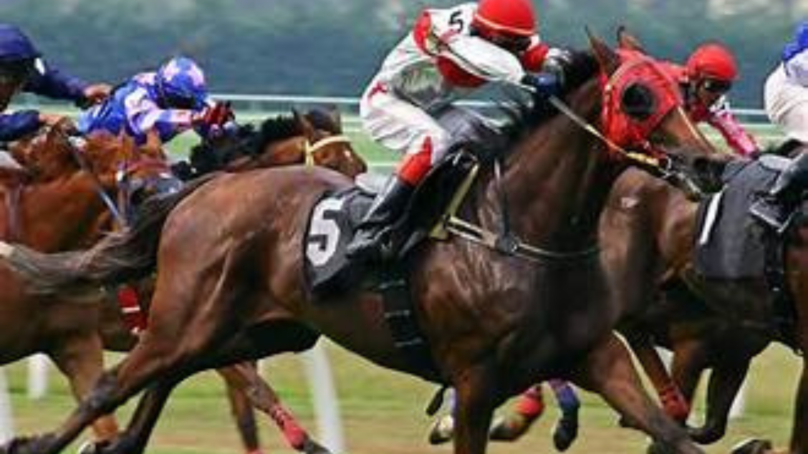 The Thrill of Horse Racing Smart Betting Tips Every Player Should Know